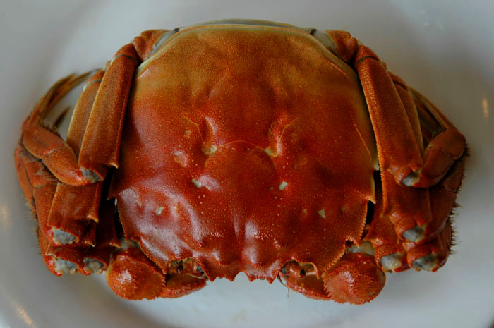 [原创] "桔"黄蟹肥,苏州行!