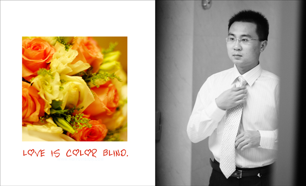 【 LOVE IS COLOR BLIND 】＜＝＝＝婚礼摄影