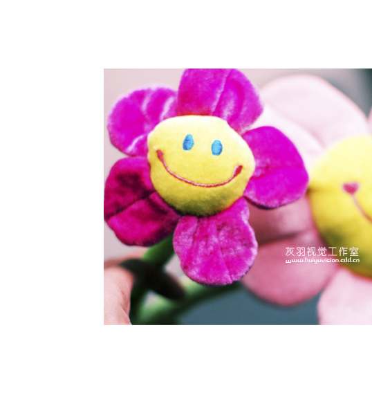 [原创]＝＝＝＞【 花儿 】＜＝＝＝