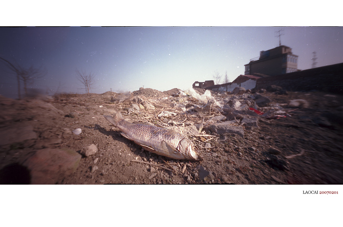 ~~~~ 某日的捡拾 ~~~~