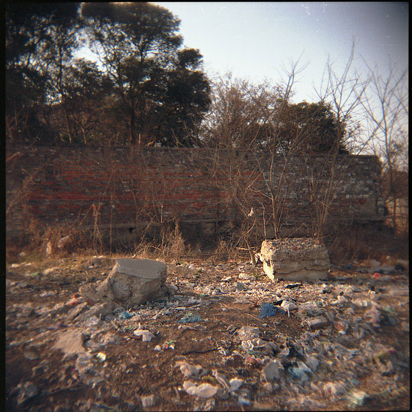 ~~~~ 某日的捡拾 ~~~~