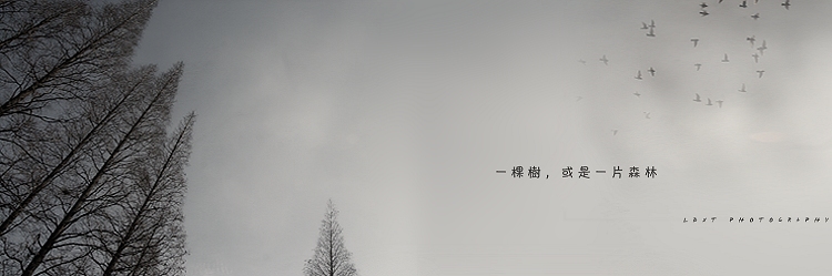 [原创]情人节,快..乐!