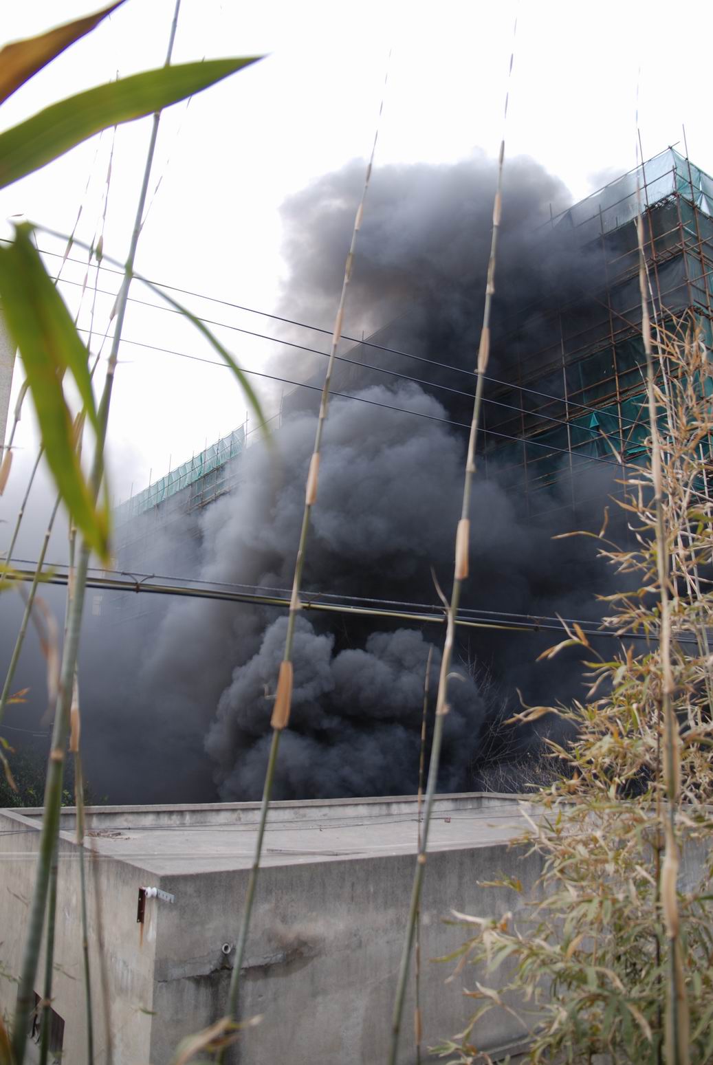 南通职大烧垃圾,引来119