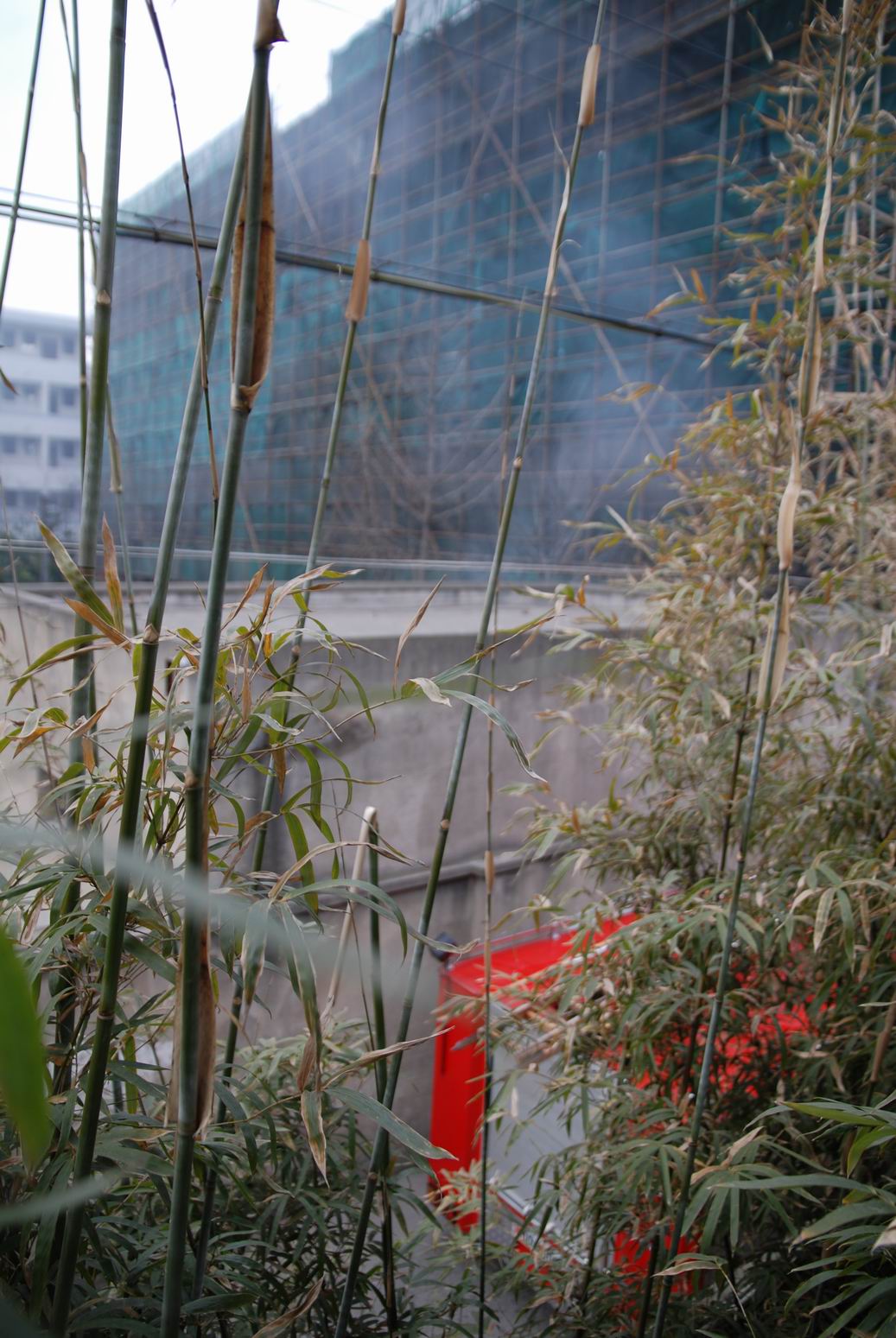 南通职大烧垃圾,引来119