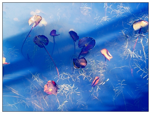 [原创]~~~~2007年的第一帖~~~~