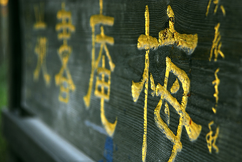 [原创]菜鸟也用D80