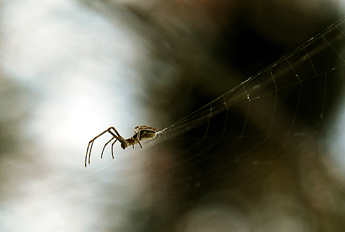 [原创]菜鸟也用D80