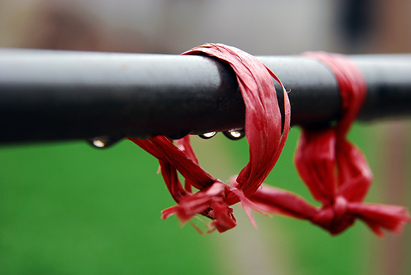 [原创]菜鸟也用D80