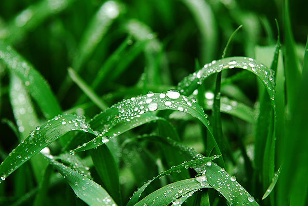 [原创]菜鸟也用D80