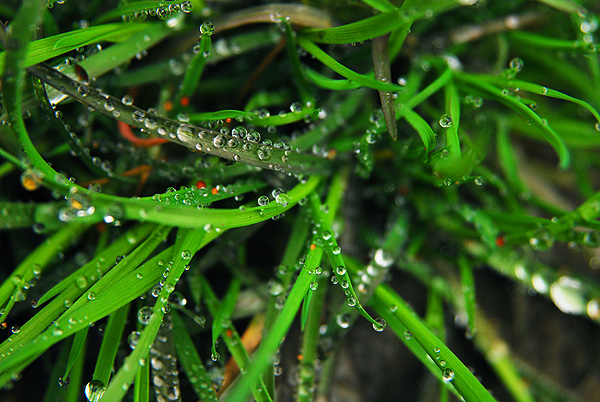 [原创]菜鸟也用D80