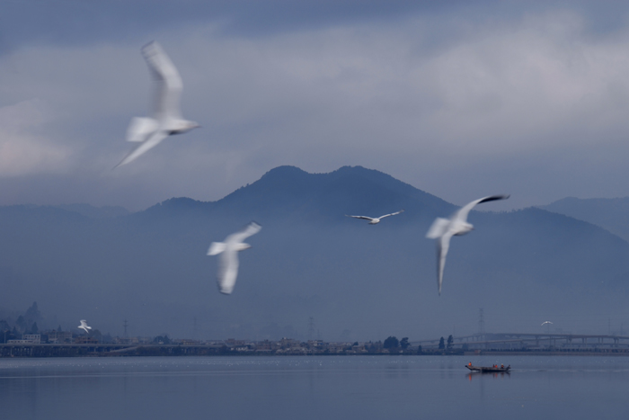 山高云淡白鸟飞
