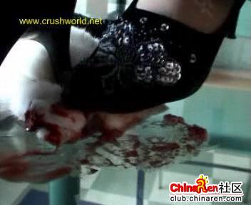 虐猫事件之后又有一虐兔事件,残忍呢~