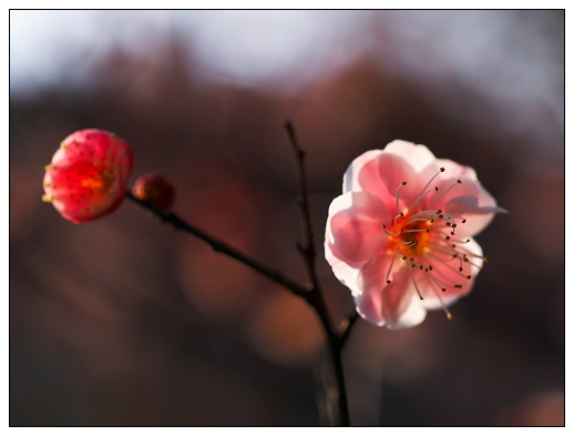 [原创]~~~春天~~~