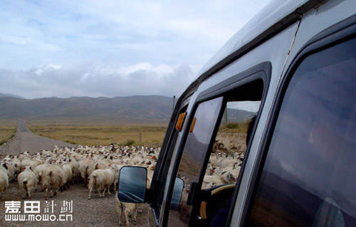 青海行——一个放羊娃（不断添加）