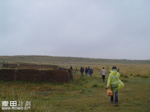 青海行——一个放羊娃（不断添加）