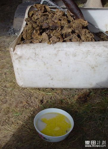 青海行——一个放羊娃（不断添加）