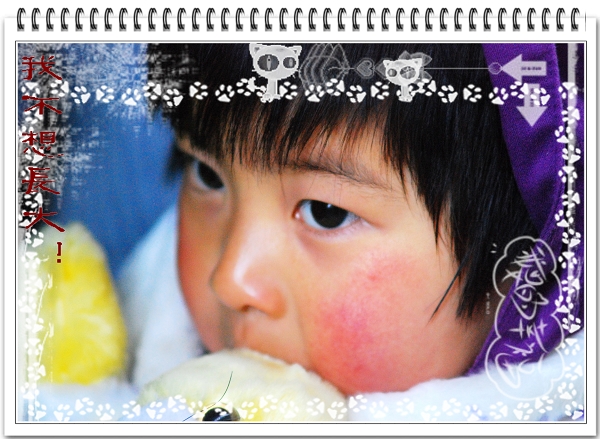 3月11日外拍活动作品《贞洁牌坊的故事》——吉娃娃