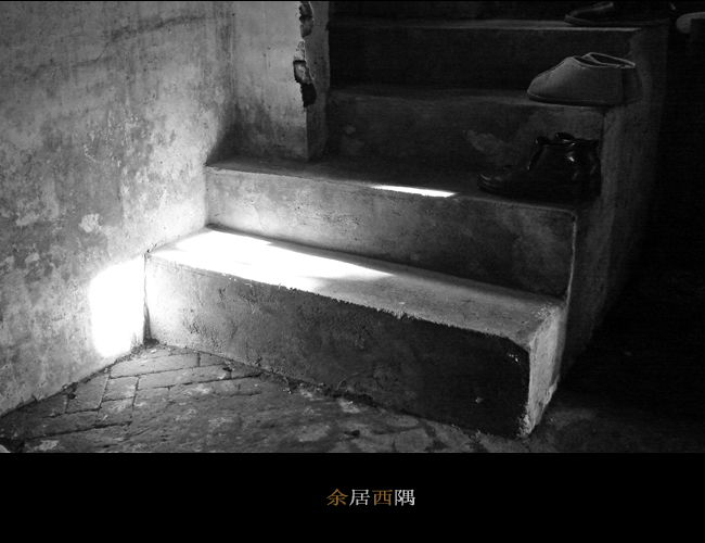 3月11日外拍之一《余居西隅》—— 老菜头