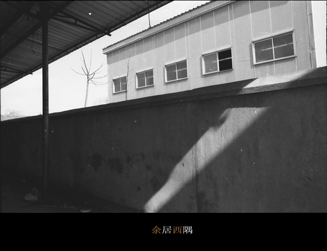 3月11日外拍之一《余居西隅》—— 老菜头