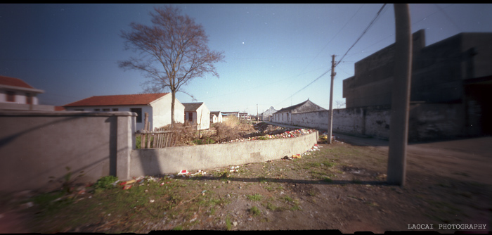 3月11日外拍之《  余西一梦  》—— 老菜头