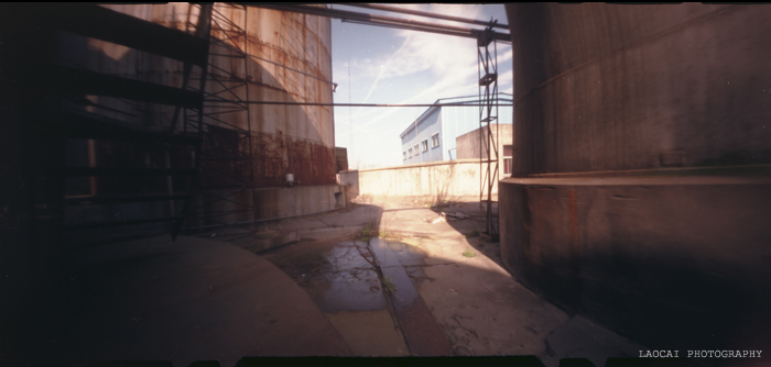 3月11日外拍之《  余西一梦  》—— 老菜头