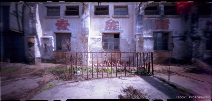 3月11日外拍之《  余西一梦  》—— 老菜头