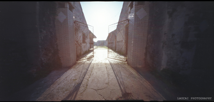 3月11日外拍之《  余西一梦  》—— 老菜头