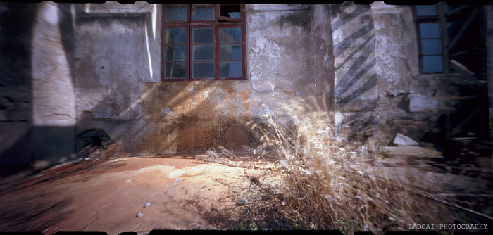 3月11日外拍之《  余西一梦  》—— 老菜头