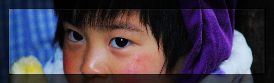 3月11日外拍活动作品《百窗图》——吉娃娃