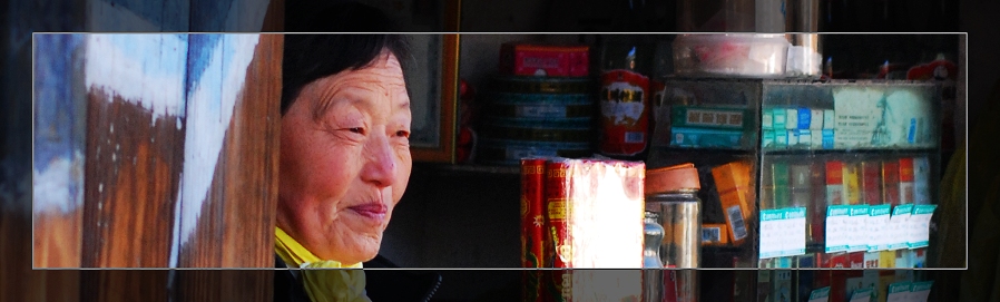 3月11日外拍活动作品《百窗图》——吉娃娃