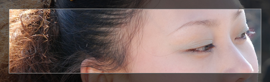 3月11日外拍活动作品《百窗图》——吉娃娃