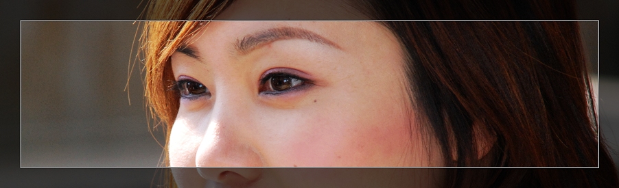 3月11日外拍活动作品《百窗图》——吉娃娃