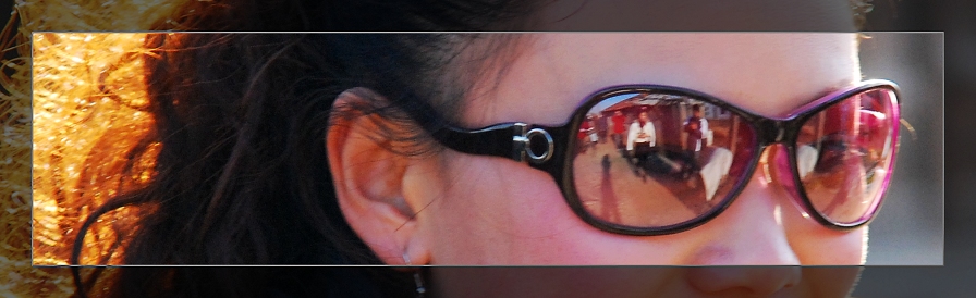 3月11日外拍活动作品《百窗图》——吉娃娃