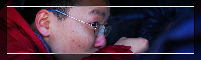 3月11日外拍活动作品《百窗图》——吉娃娃