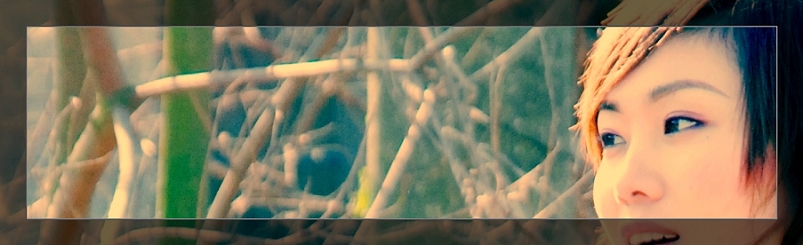 3月11日外拍活动作品《百窗图》——吉娃娃