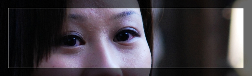 3月11日外拍活动作品《百窗图》——吉娃娃