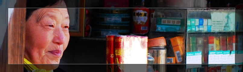 3月11日外拍活动作品《百窗图》——吉娃娃