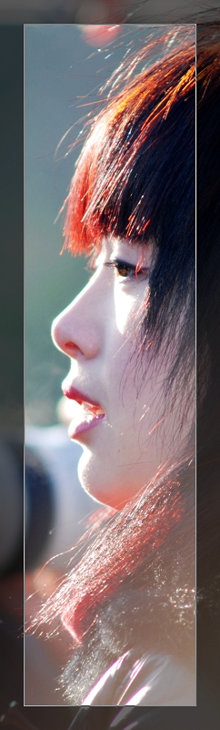 3月11日外拍活动作品《百窗图》——吉娃娃