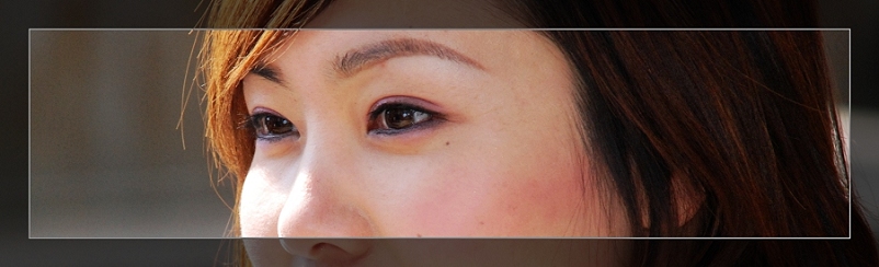 3月11日外拍活动作品《百窗图》——吉娃娃