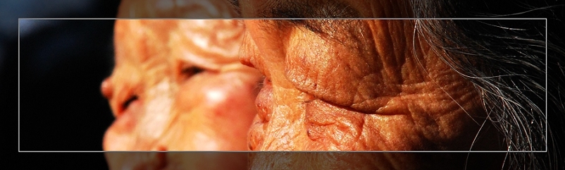 3月11日外拍活动作品《百窗图》——吉娃娃