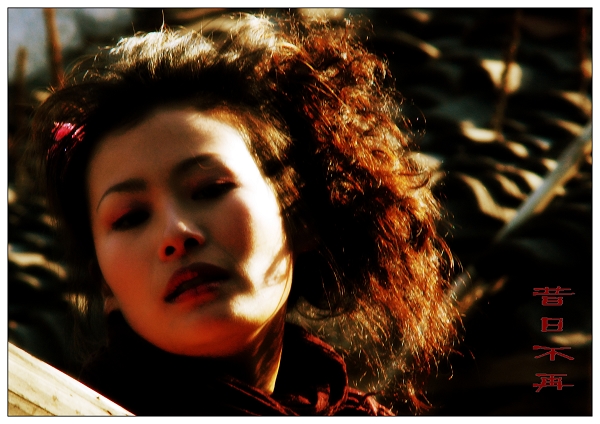 3.11.外拍活动(个性人像)--吉娃娃