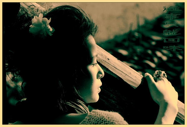 3.11.外拍活动(个性人像)--吉娃娃