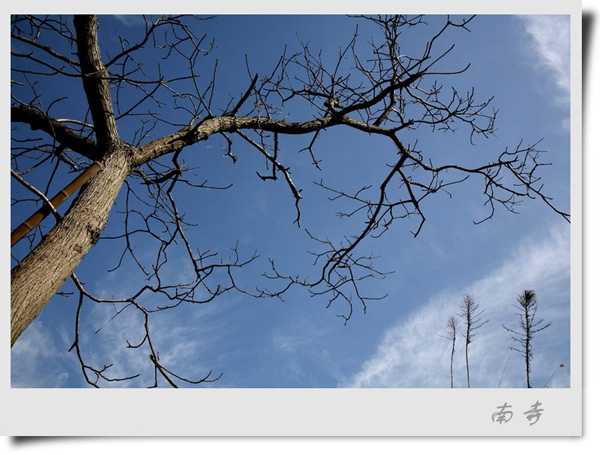 3月11日外拍活动作品《古镇旧事》——南寺无影