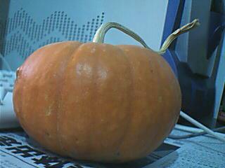 【生日帖】送给江湖小妹！