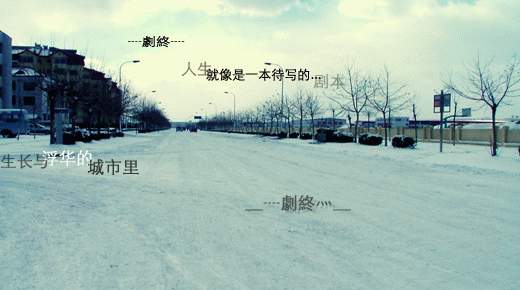 [分享]谁是谁的谁。