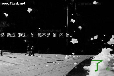 [分享]谁是谁的谁。