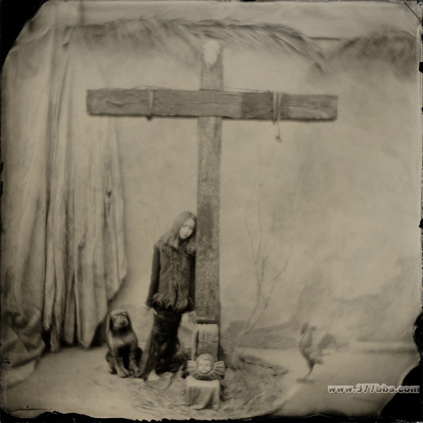 [分享]谁是谁的谁。