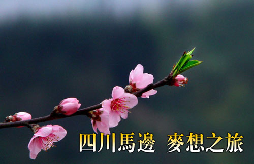 四川马边 麦想之旅