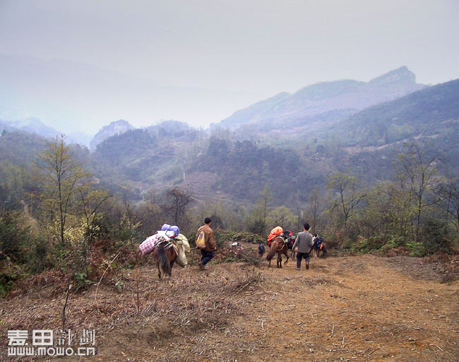 四川马边 麦想之旅