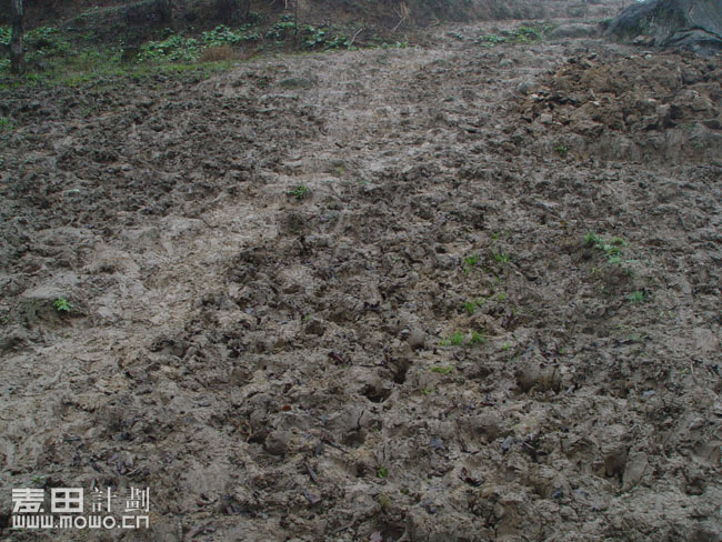 四川马边 麦想之旅